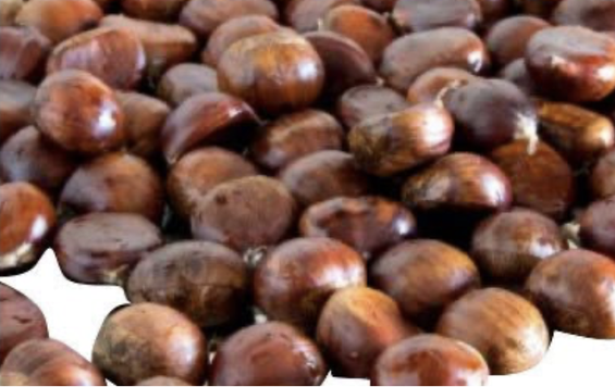 Premium Whole Chestnuts from Kenya